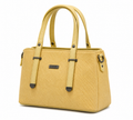 Vanilla Bloom Dual Tone Women's Hand Bag